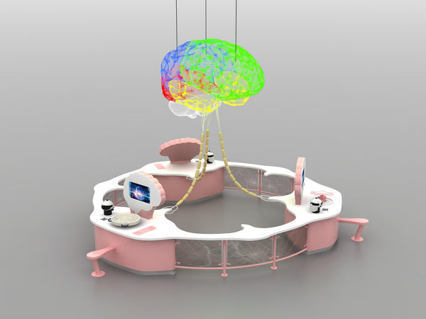 interactive museum exhibits:Exploring the Mysteries of the Brain