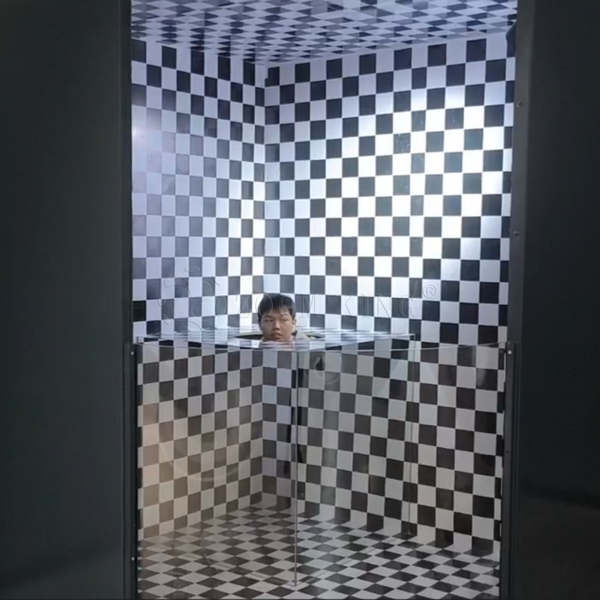 "The Invisible Man Optical Illusion Exhibit | Science Center for Kids | Interactive Perception Display"