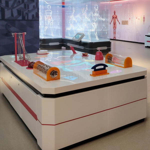 The Journey of Food: An Interesting Exploration of the Human Digestive System