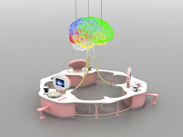 Understanding the Brain: How Custom Interactive Museum Exhibits Bring Neuroscience to Life - Zigong Zhongqing Technology Co., Ltd. Operating under the brand Zoomking®.