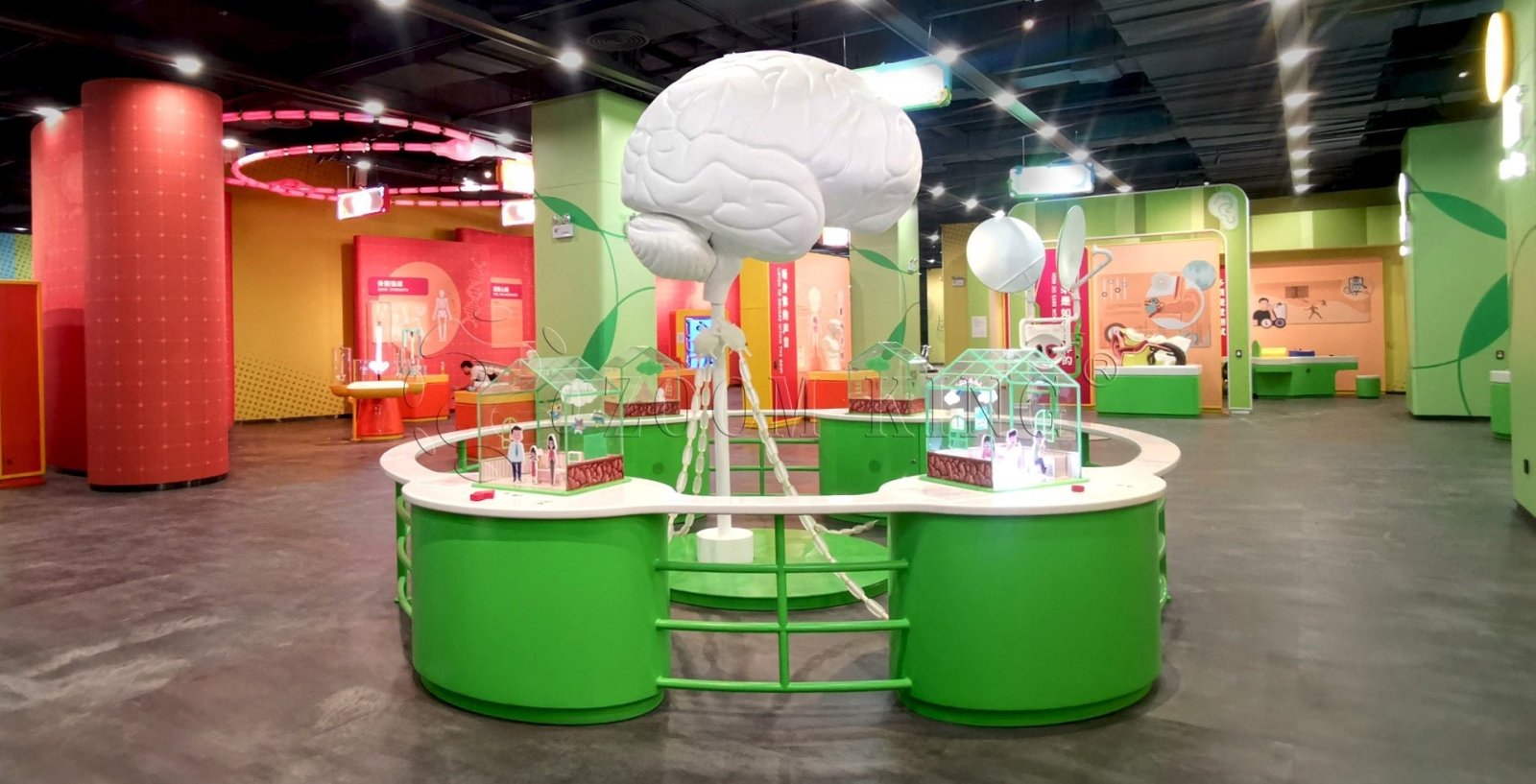 Science Rationale Exhibit The Secret Behind Great Science Museum Exhibit | Zoomking