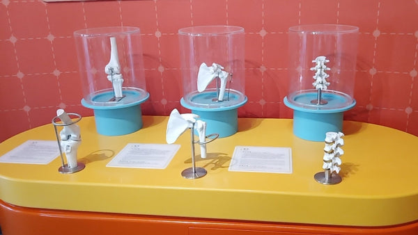 The Ultimate Guide to Designing an Interactive Science Exhibit: Lessons from Science Museum - Zigong Zhongqing Technology Co., Ltd. Operating under the brand Zoomking®.