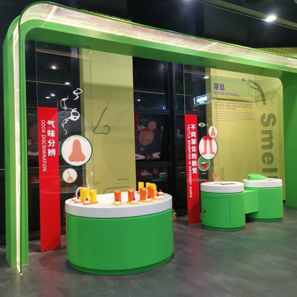 Top 10 Interactive Science Exhibits That Will Spark Curiosity in Every Visitor - Zigong Zhongqing Technology Co., Ltd. Operating under the brand Zoomking®.