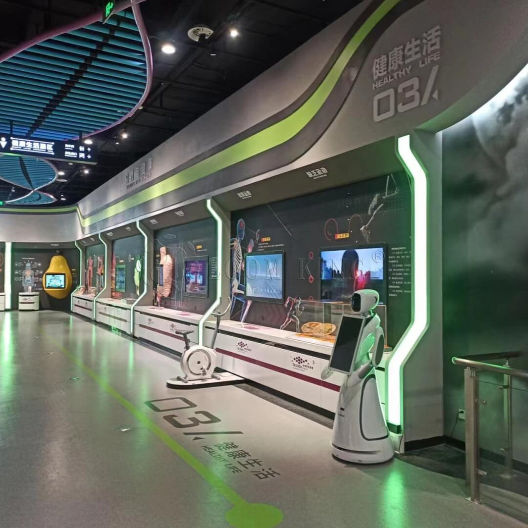 Human Body Interactive Model Exhibits | Zoomking
