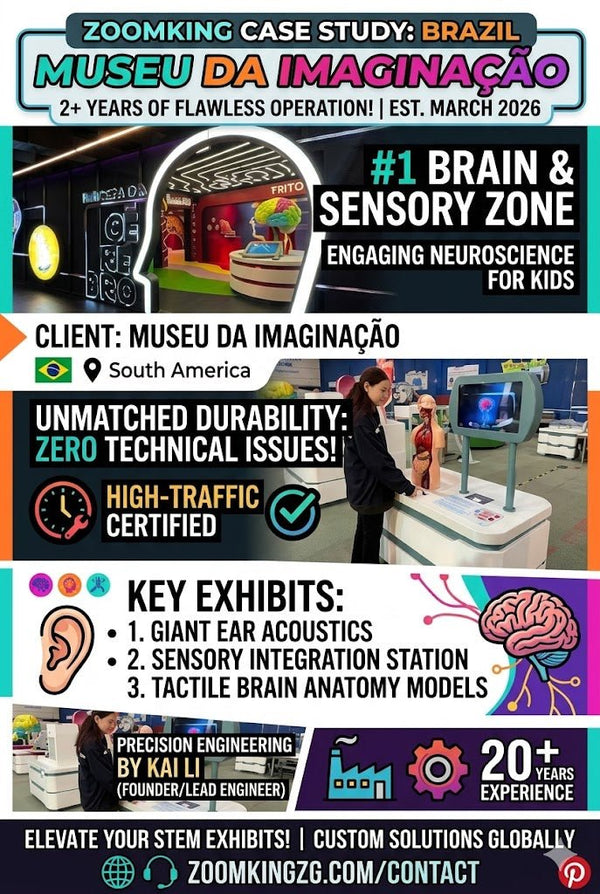 2026 Brazil Museu da Imaginação Case Study: Custom Brain & Human Body Interactive Science Exhibits - Zoomking® | Zigong Zhongqing Technology Co., Ltd.