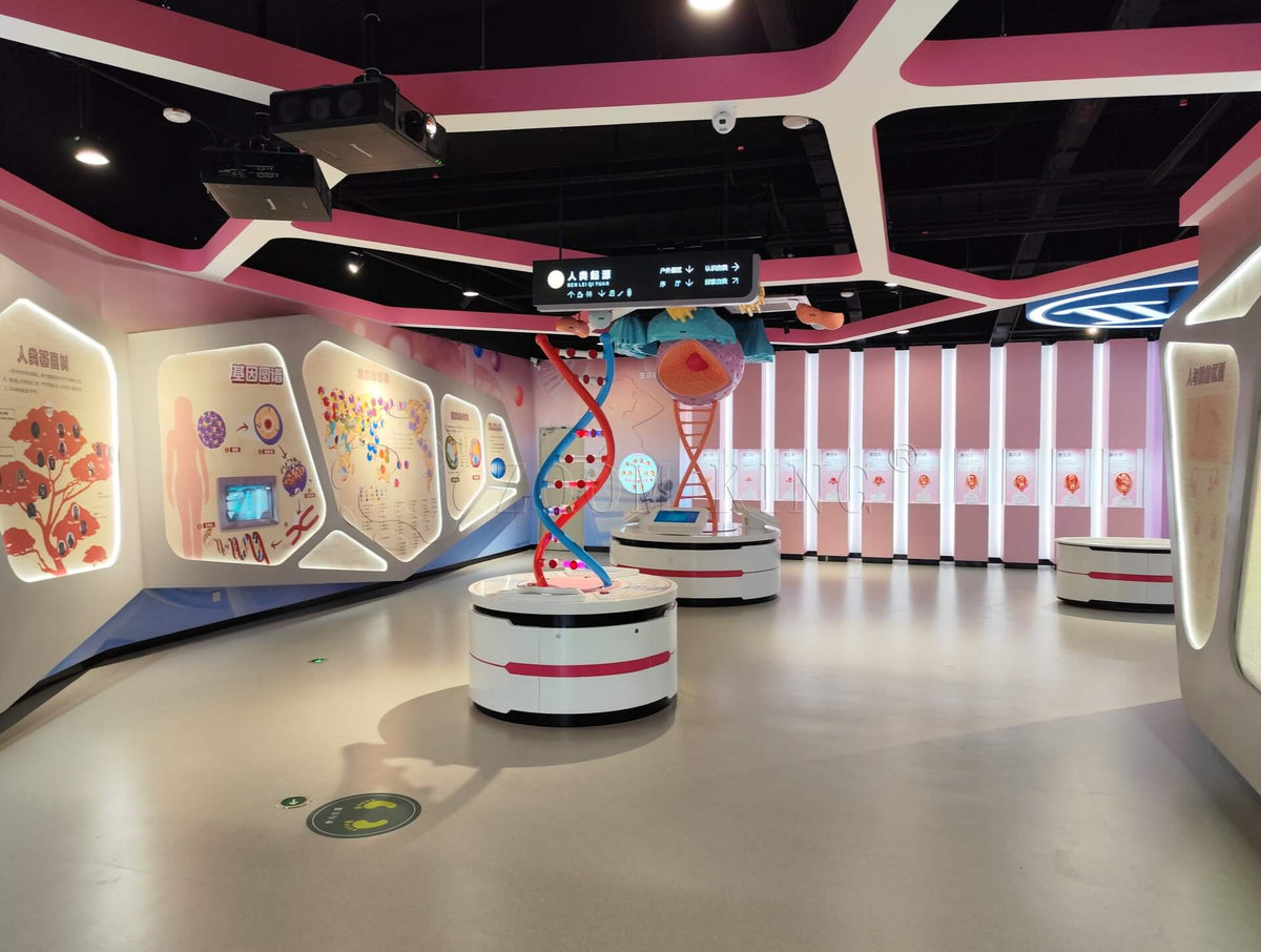 Interactive Learning Museum Interactive Education Exhibit | Science Museum Solution