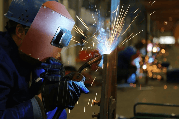 Who Stays Up Late at Night: A Hands-On Journey into the World of Nocturnal Animals - Zigong Zhongqing Technology Co., Ltd. Operating under the brand Zoomking®.