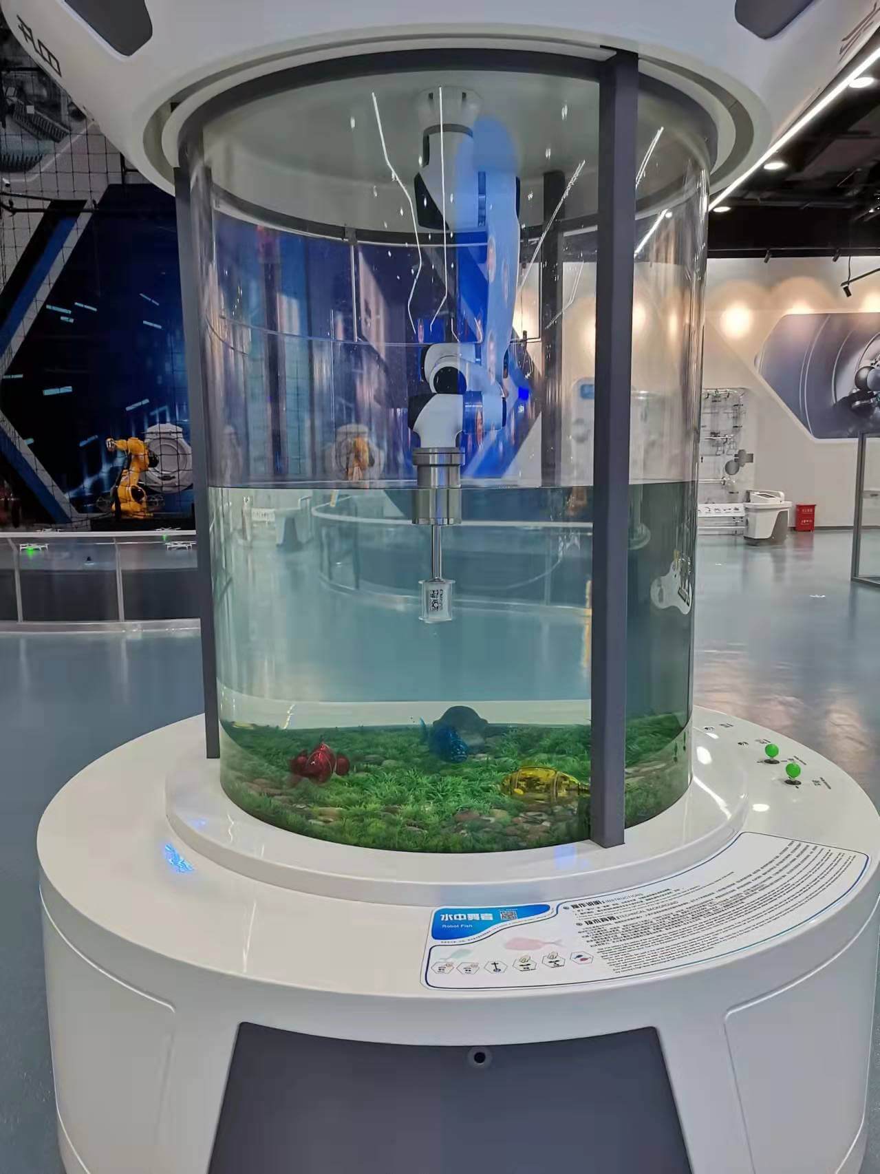 Bionic Robot Fish Exhibit: STEM Education Interactive Experience & Bionic Science Exploration