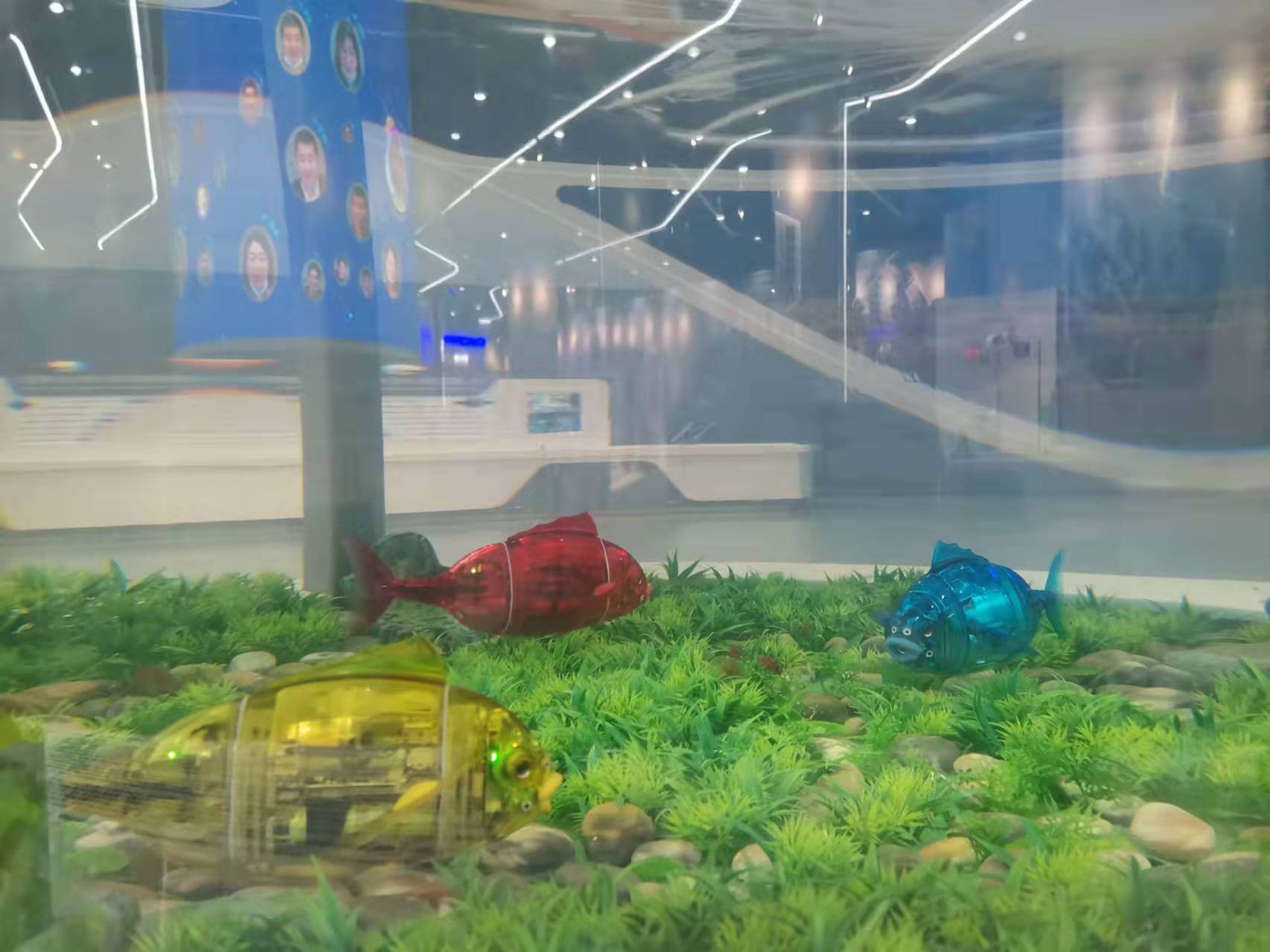 Bionic Robot Fish Exhibit: STEM Education Interactive Experience & Bionic Science Exploration