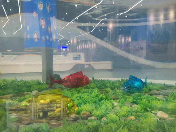 Bionic Robot Fish Exhibit: STEM Education Interactive Experience & Bionic Science Exploration