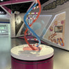 DNA Double Helix Model | Exploratorium Museum Exhibit