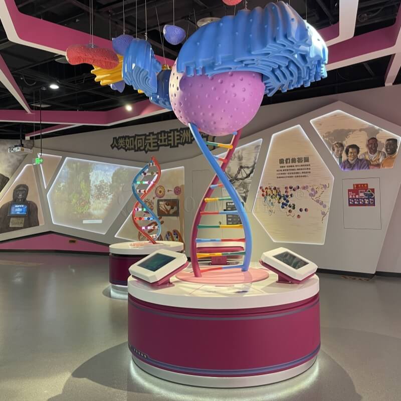 Interactive STEM Learning Exhibit | Children's Science Museum