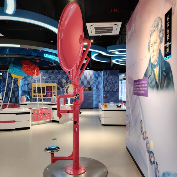 Interactive Science Exhibit: The Role of the Auricle - Engaging Health Education Experience at Huangpu Development Zone Science Museum