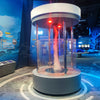 Tornado Exhibit Interactive Products of Science and Technology