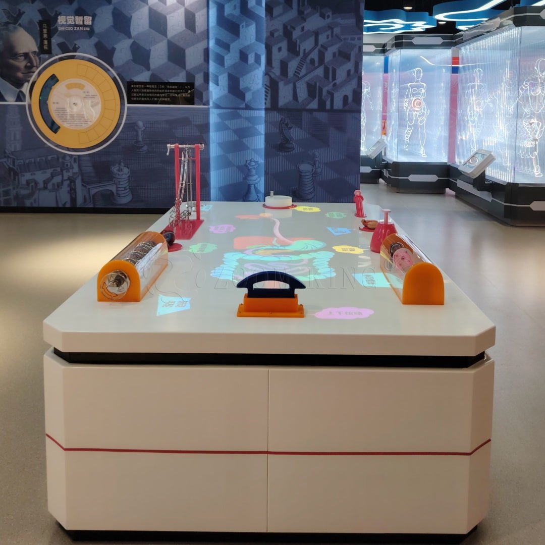 Brain cognition interactive exhibit for children science museum