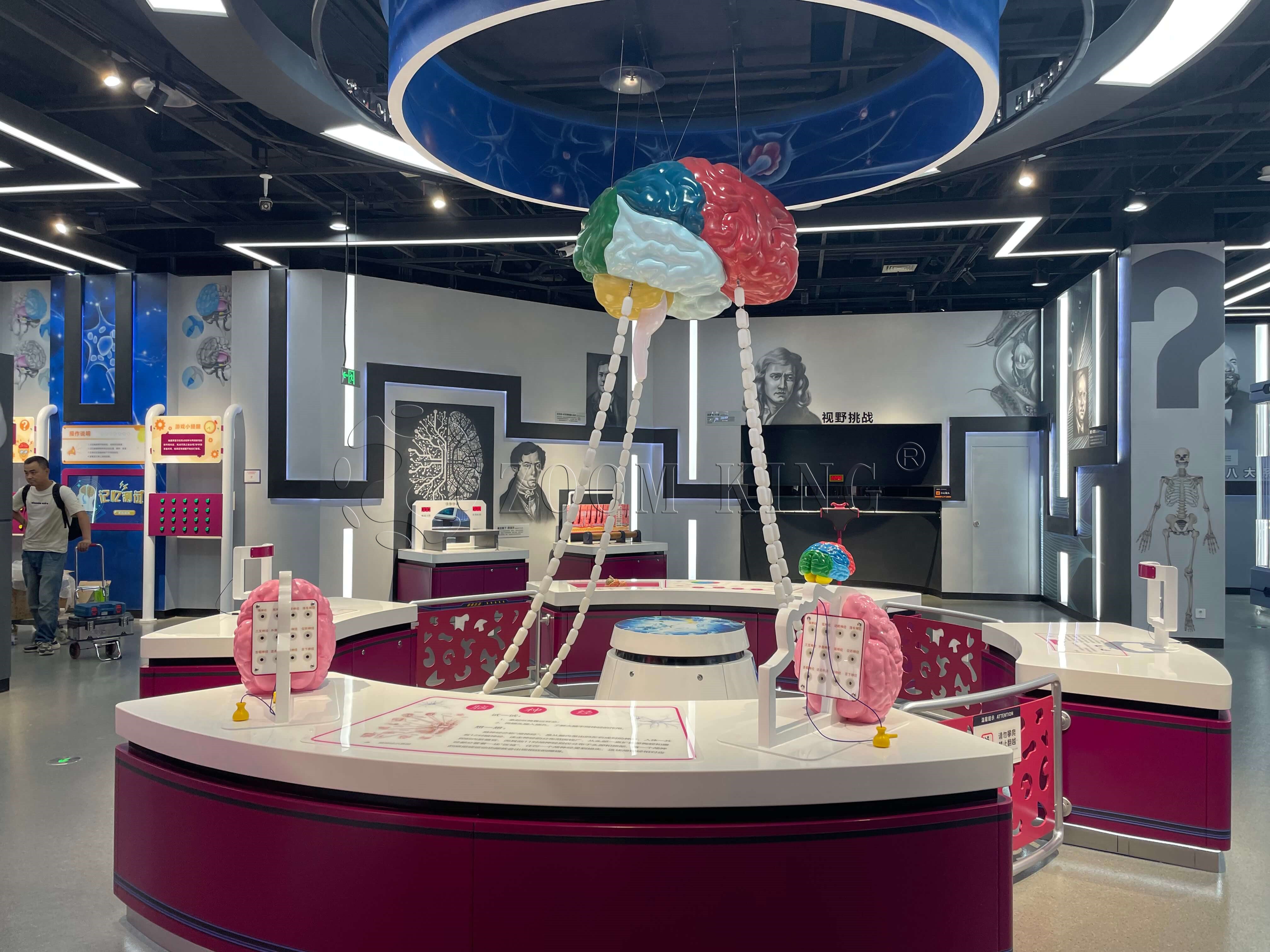 Interactive Brain Exhibit: The Essence of the Brain