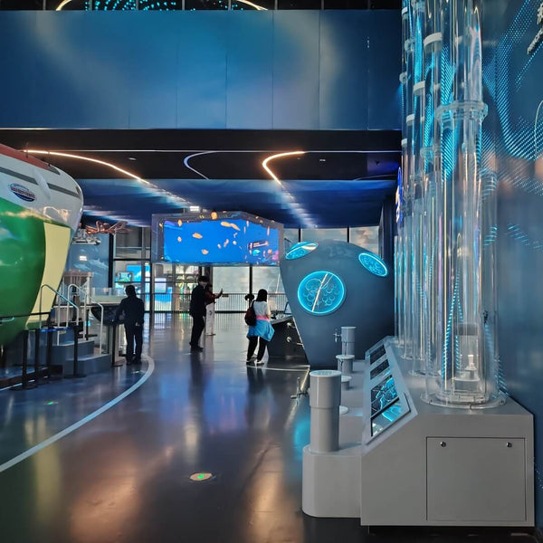 OEM fabrication of custom interactive science museum exhibit structures and systems

