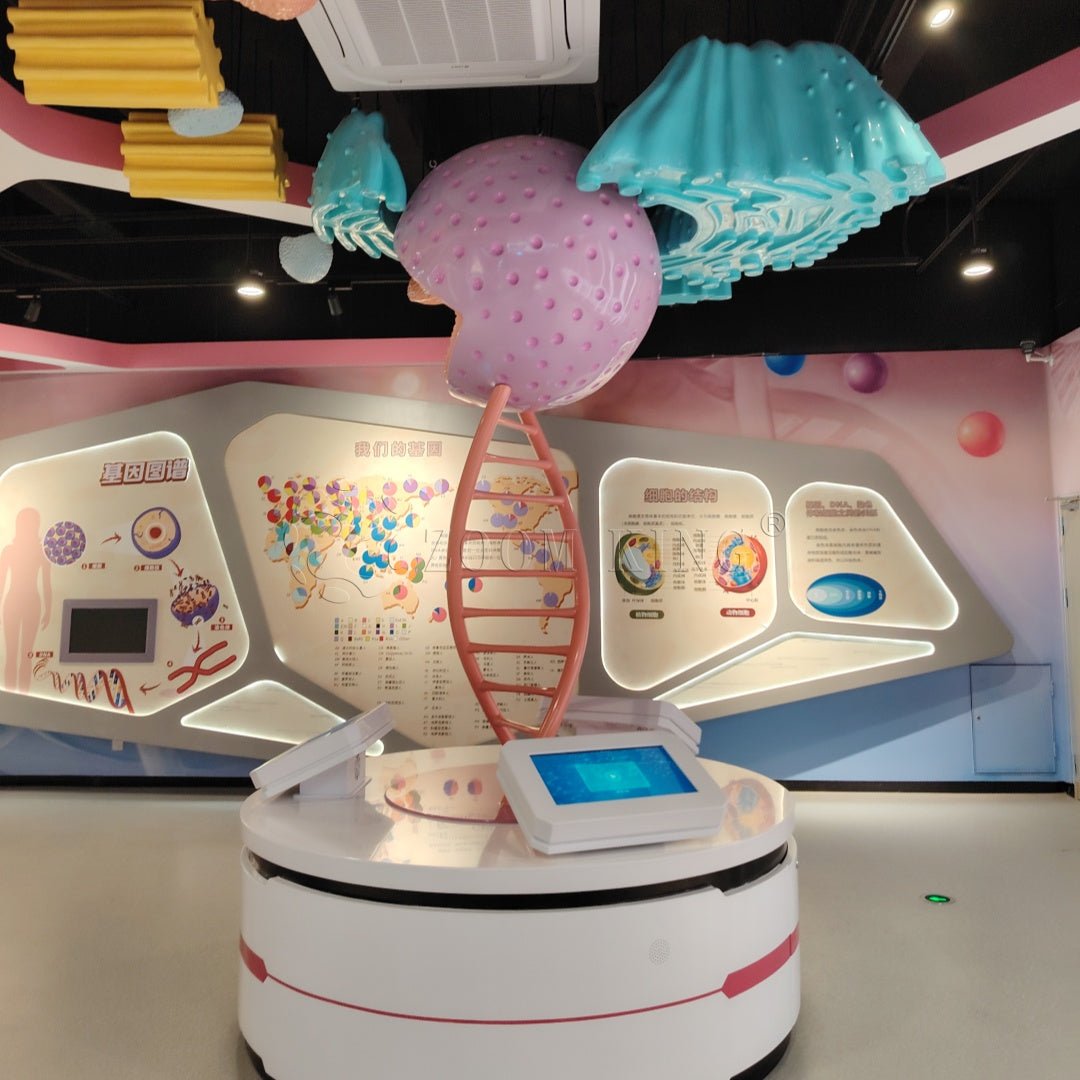DNA double helix interactive exhibit in a science museum
