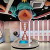 DNA science learning interactive display in a museum environment