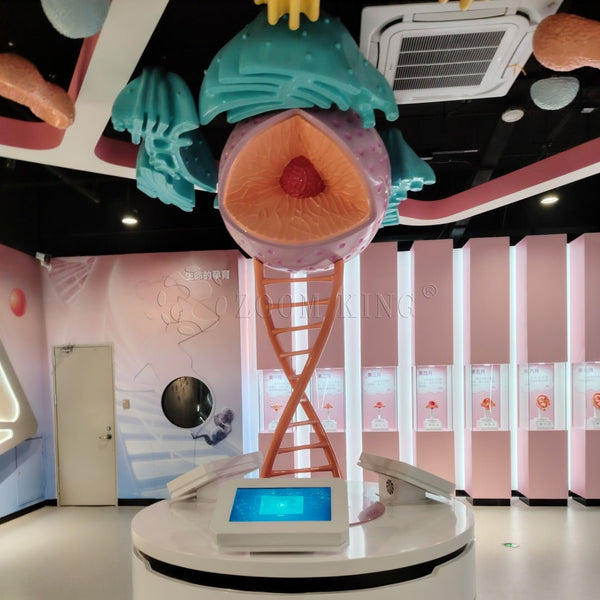 DNA science learning interactive display in a museum environment