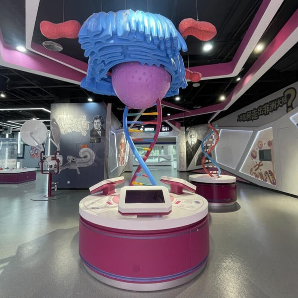 Interactive organ system models demonstrating the engineering of living systems