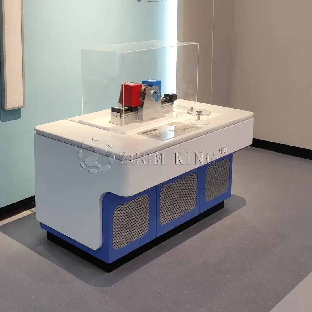 Generator & Electric Motor – Interactive Electromagnetic Induction Exhibit - SCIENCE EXHIBITS - Zigong Zhongqing Tech