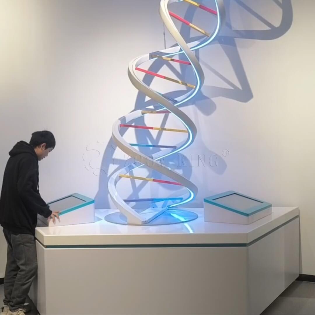 Giant DNA genetic engineering exhibit installed in a science museum gallery