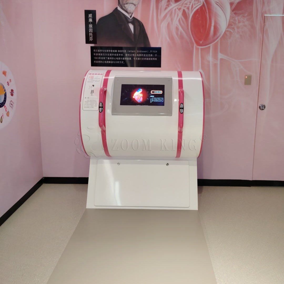 Heartbeat and pulse interactive exhibit demonstrating human cardiovascular function
