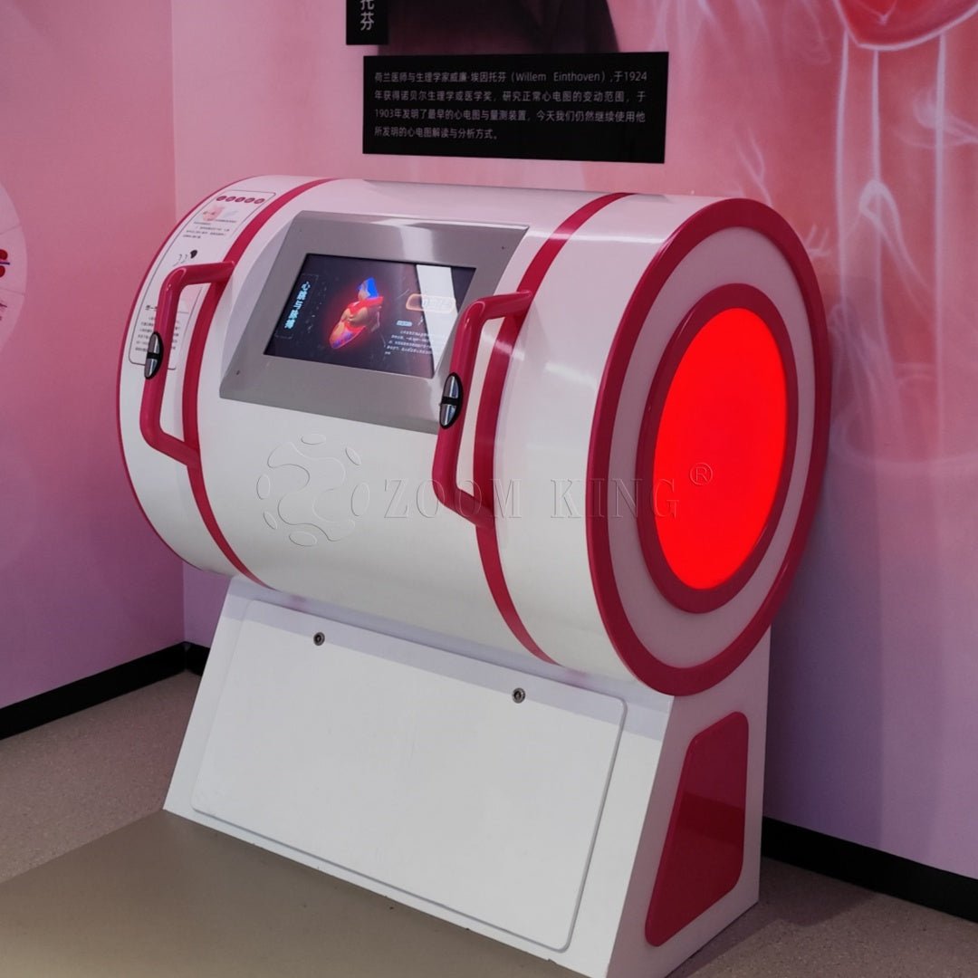 Human heart and pulse physiology exhibit for science education
