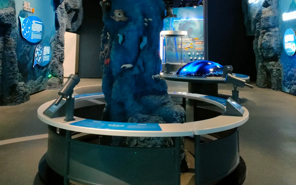 Immersive marine experience display for science education