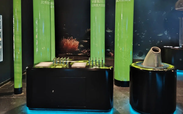 Immersive science exhibit installation for educational engagement