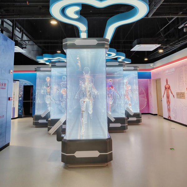 OEM custom human body science exhibit installation