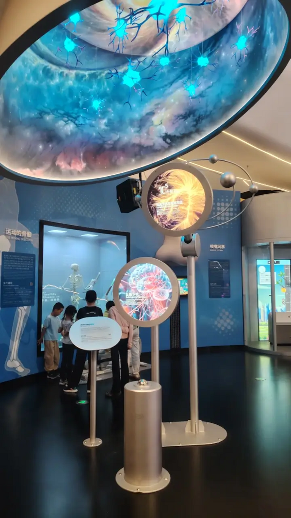 Interactive science museum exhibitsdesigned and manufactured by zoomking