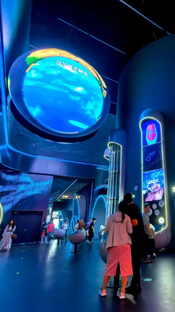 Interactive science museum exhibits designed and manufactured by Zoomking