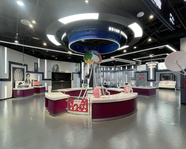 Large-scale science museum OEM exhibit project