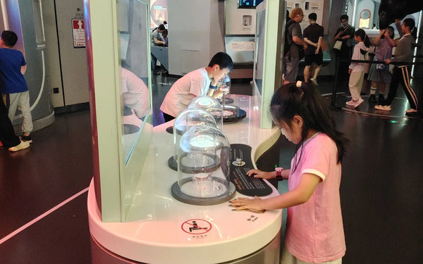Museum education environment designed for immersive learning experiences