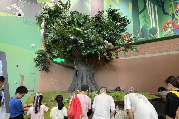 Science museum zoning and space allocation planning