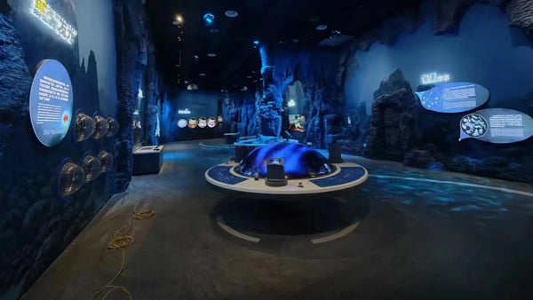 Immersive marine science exhibits at Qingdao Science Museum featuring interactive ocean education displays