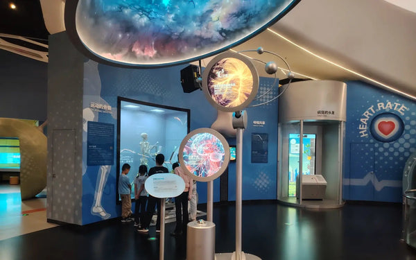 Interactive human body gallery exhibit designed for public science engagement and STEM education