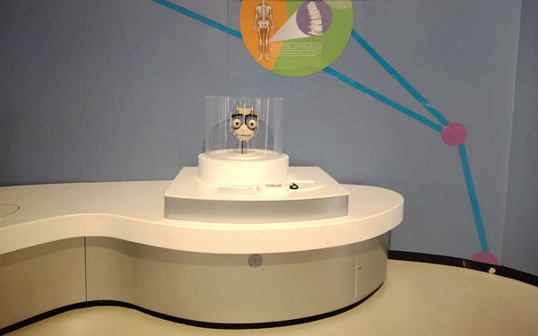 Interactive biology exhibit engineered for immersive science museum experiences